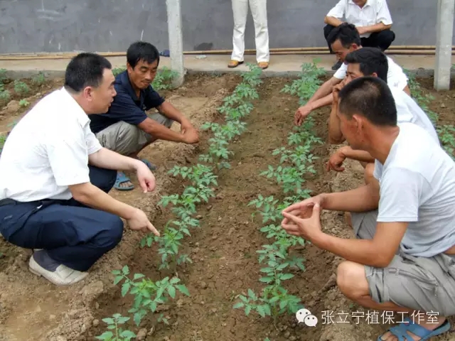 微生物菌剂的使用方法是什么？注意事项有哪些